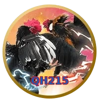 QH215